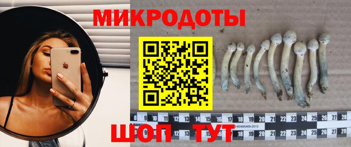 Волжск  Псилоцибиновые грибы ЛСД  Вход с VPN 
